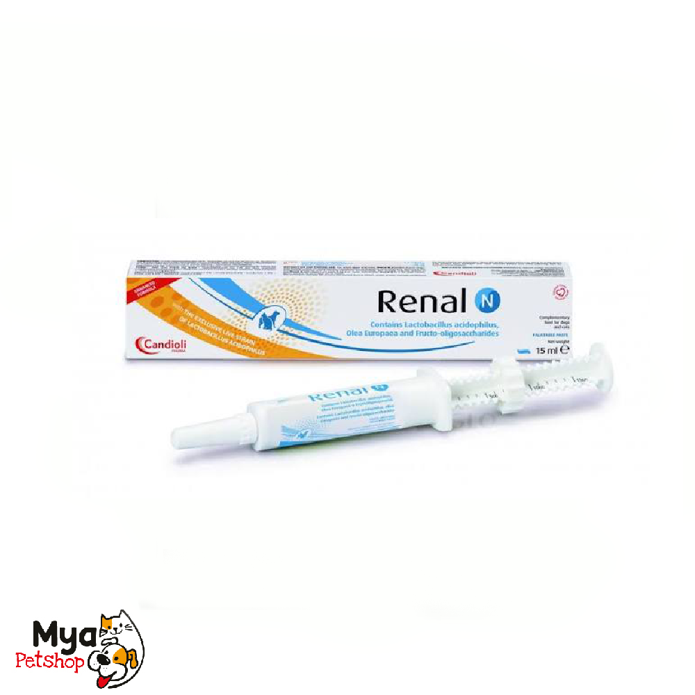 Renal N Candioli Pasta Para Gatos 15 ML