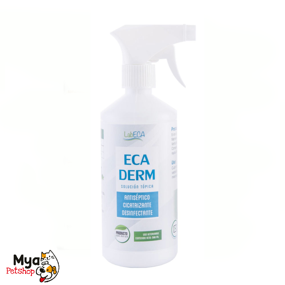 LabECA | Ecaderm | Spray | 500 ml