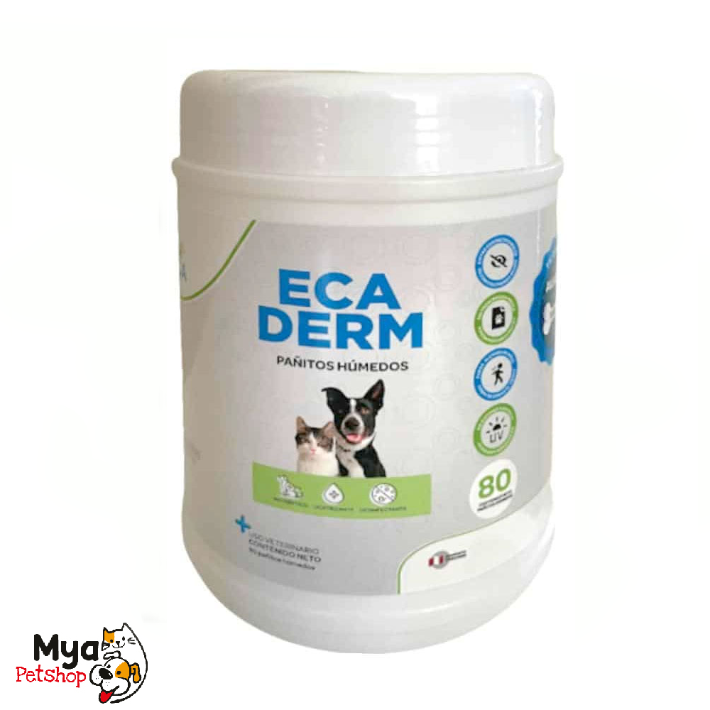 LabECA | Ecaderm | Pañitos húmedos | 80 unidades