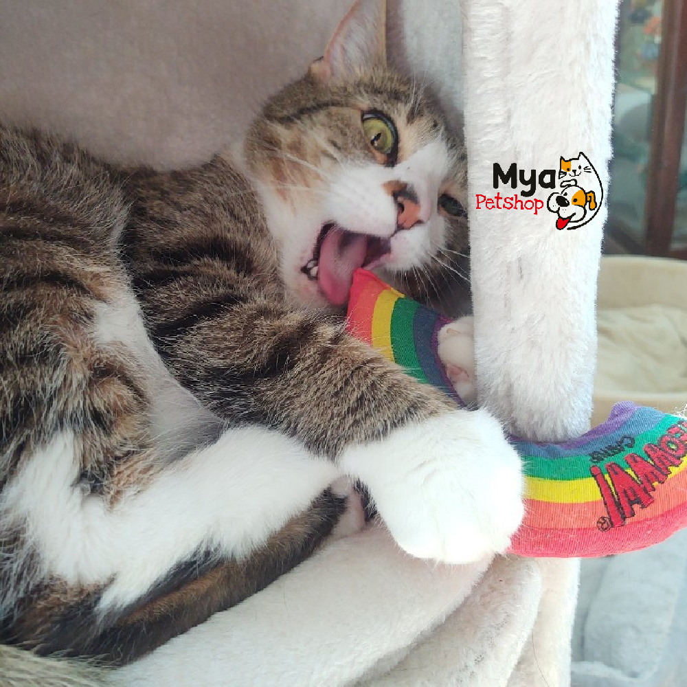 Arcoiris Yeowww! catnip - Juguete para Gato Rainbow
