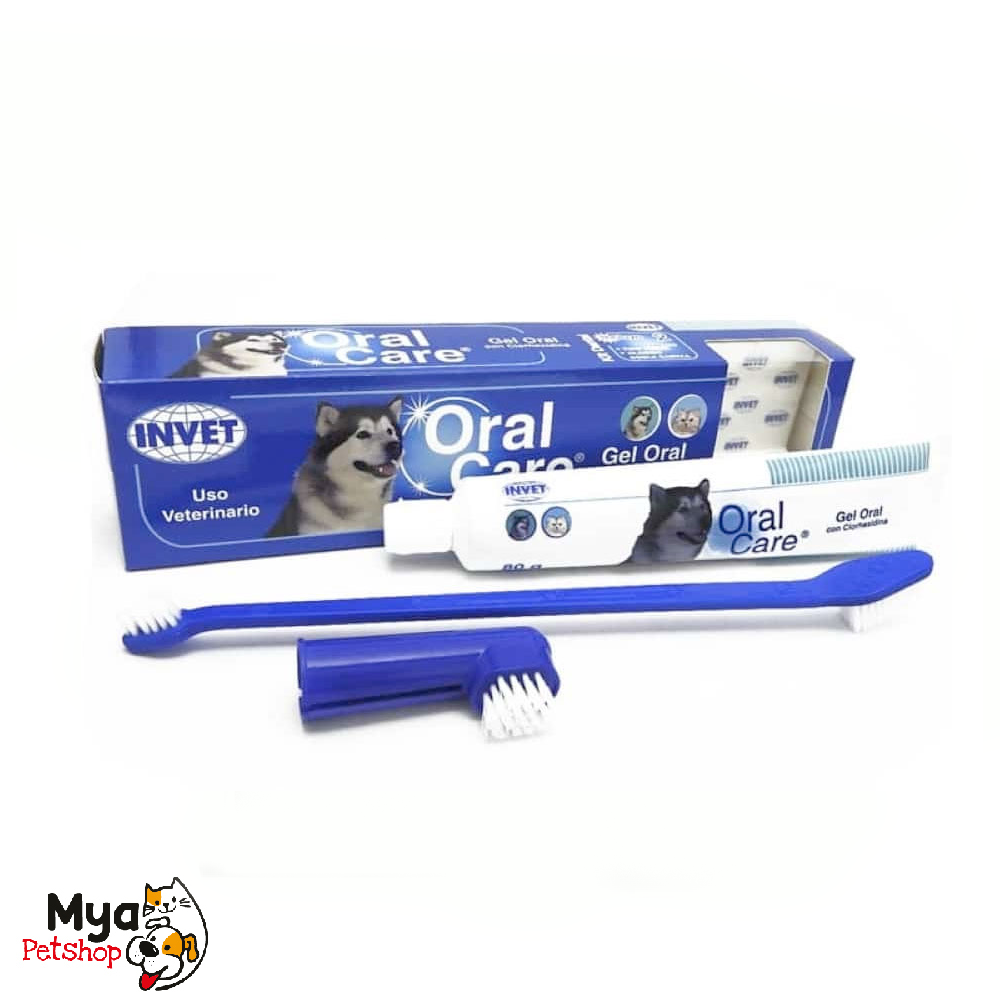 Invet | Oral Care | Kit dental (Pasta + 2 cepillos) | 80 gr