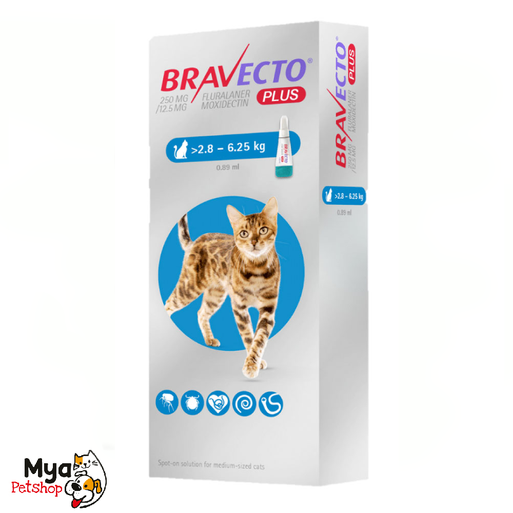 Bravecto plus | Spot on cats | 2.8 a 6.25 kg | 250 mg