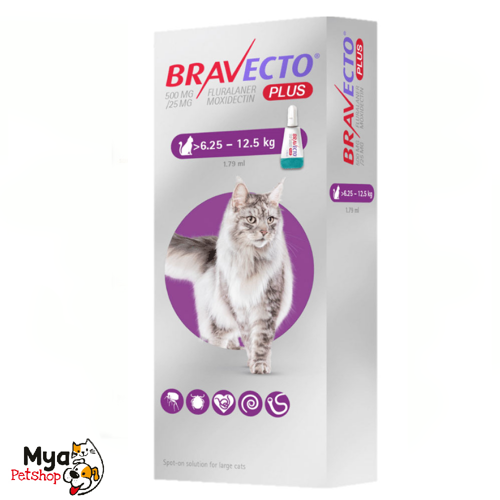 Bravecto plus | Spot on cats | 6.25 a 12.5 kg | 500 mg