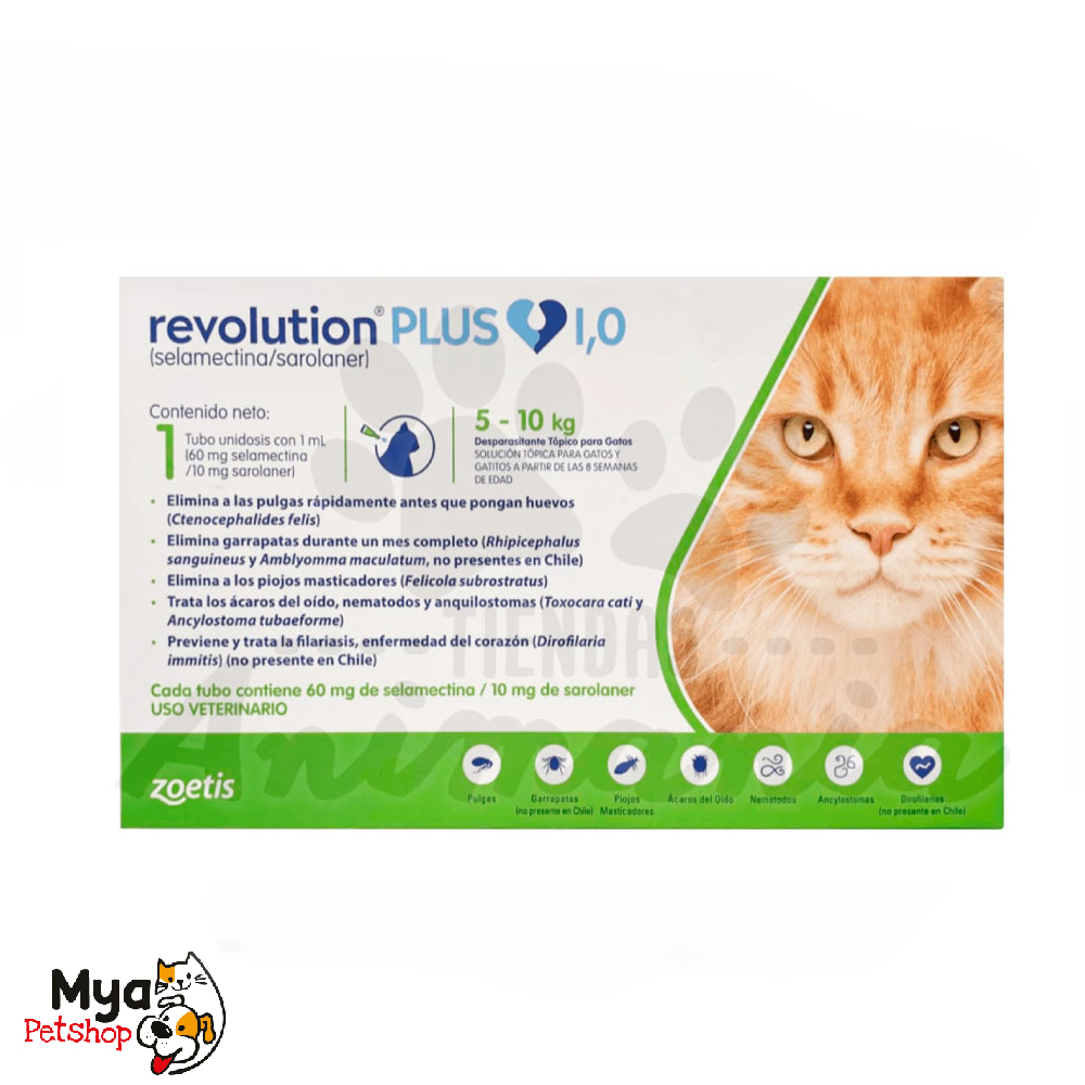 Zoetis | Revolution Plus | Pipeta 5 a 10 kg | 1 ml